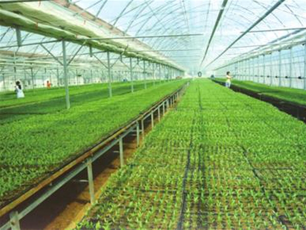 河南商禾農業有限公司農業物聯網工程（連棟溫室）