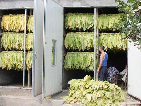 許昌縣蔣官池鎮合作社烤煙房現場