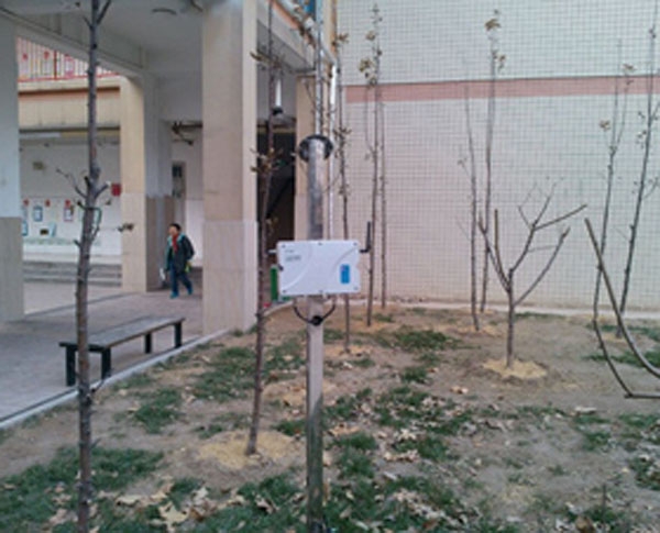 鄭州朝鳳路學校園林綠化